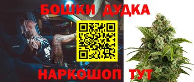 МДПВ Будённовск