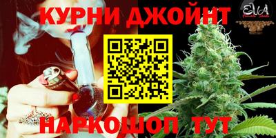 крисы Бузулук